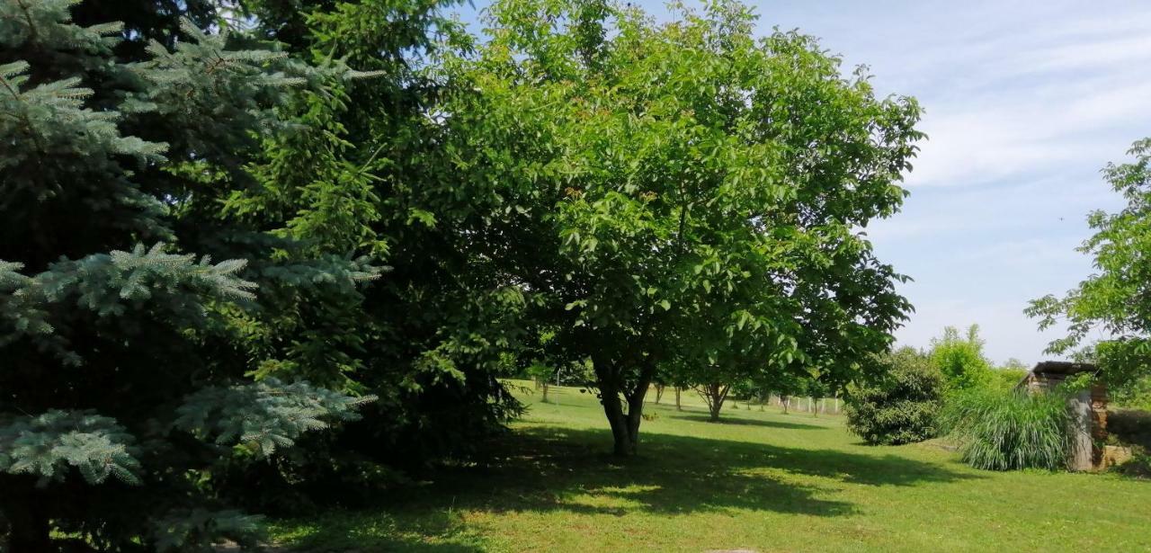 Gesztenye Vendeghaz Ságvár Buitenkant foto